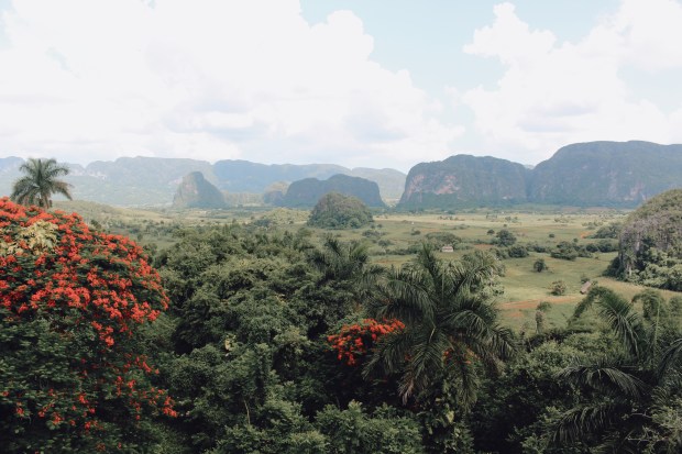 Processed with VSCO with a6 preset