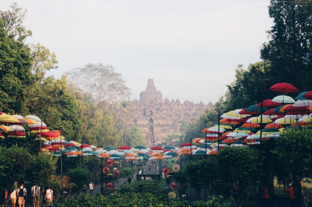 Processed with VSCO with hb1 preset