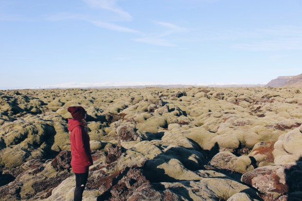 Processed with VSCO with hb1 preset