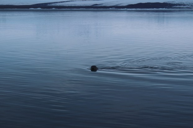 Processed with VSCO with hb2 preset