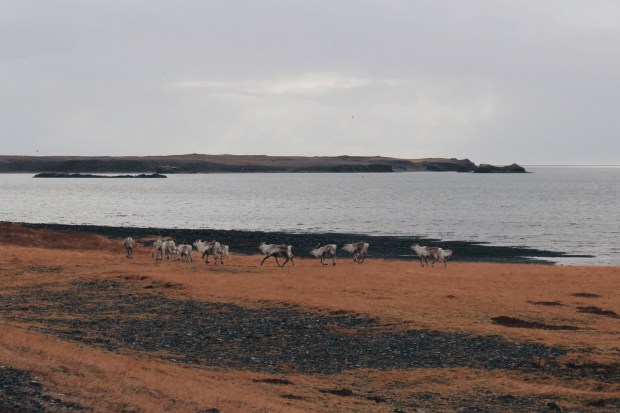 Processed with VSCO with hb1 preset