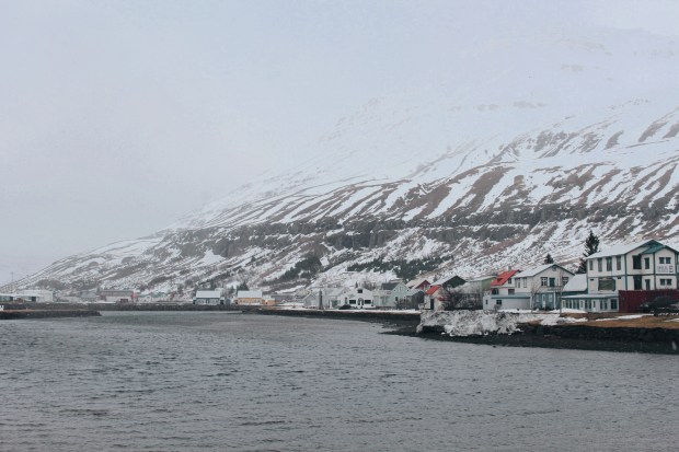 Processed with VSCO with hb1 preset