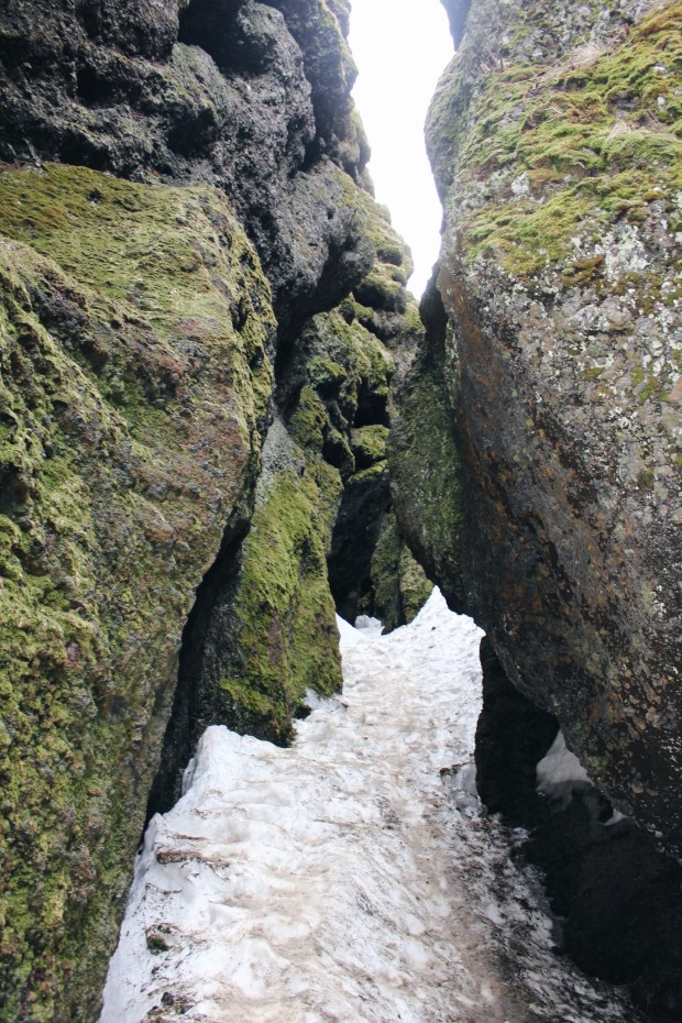 Processed with VSCO with hb1 preset