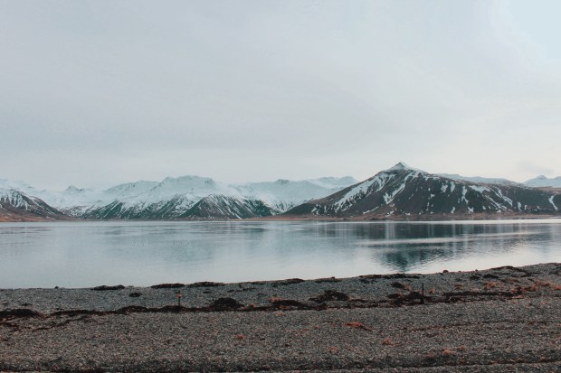 Processed with VSCO with c8 preset