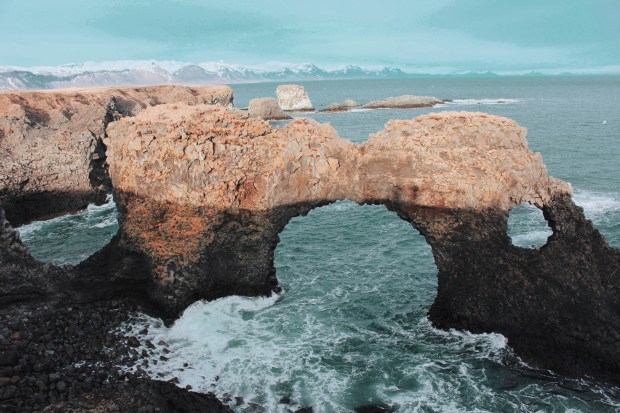 Processed with VSCO with c8 preset