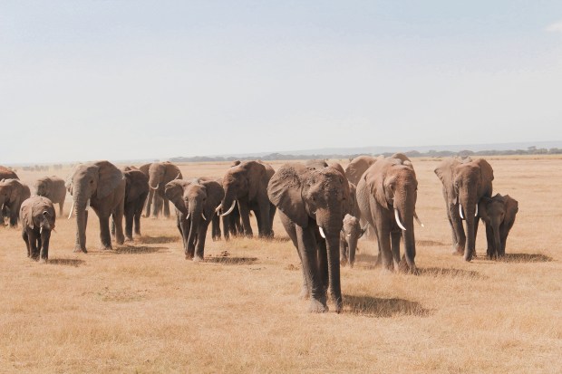 Processed with VSCO with hb1 preset