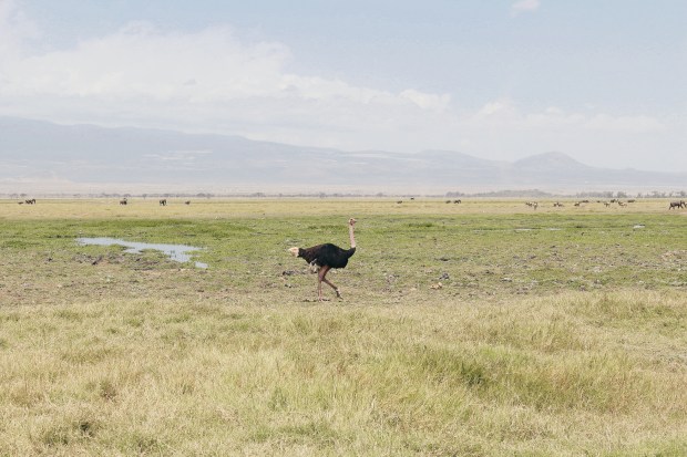 Processed with VSCO with hb1 preset