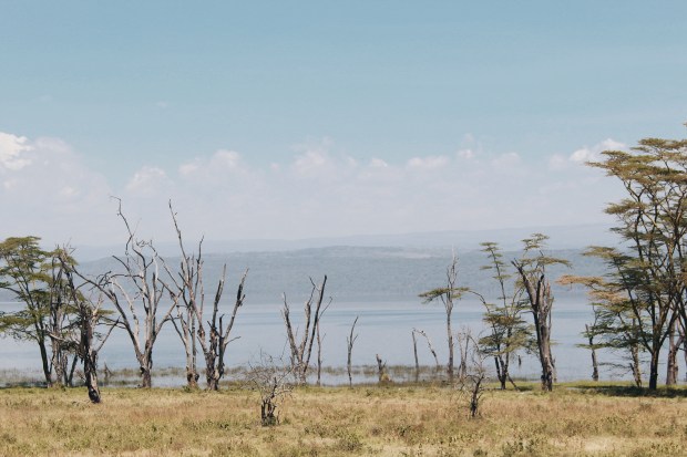 Processed with VSCO with hb1 preset