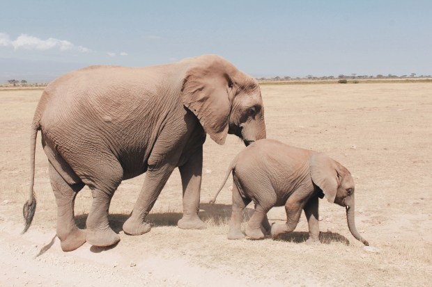 Processed with VSCO with hb1 preset