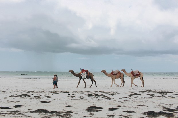 Processed with VSCO with hb1 preset