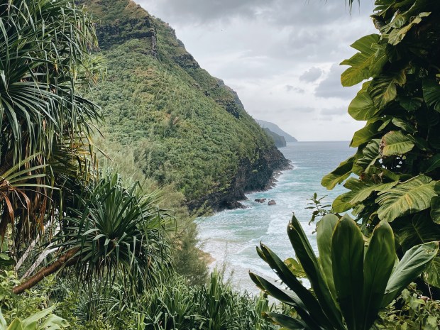 Processed with VSCO with a6 preset