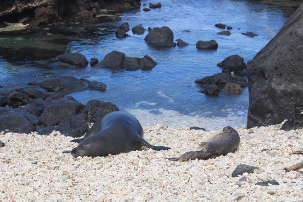 93FF42D6-7A6B-4DBE-8E9D-2CCC19BCCB3C