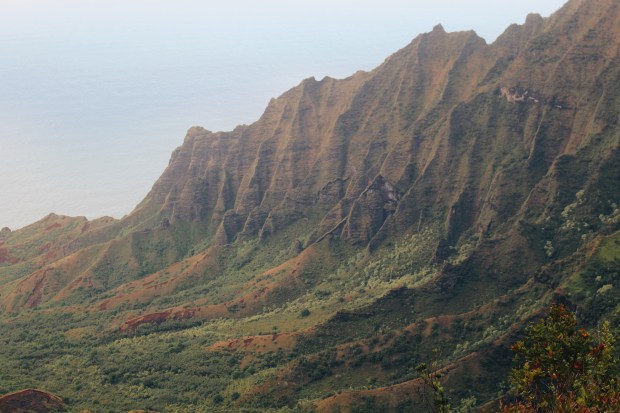 Processed with VSCO with a6 preset