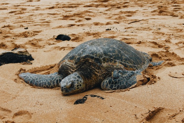 Processed with VSCO with a6 preset