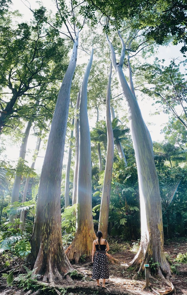 Processed with VSCO with a6 preset