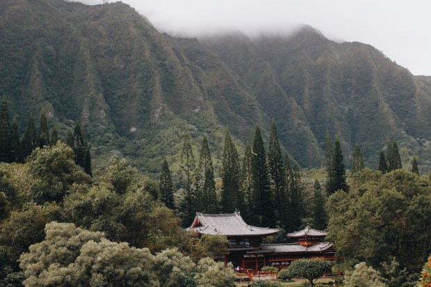 Processed with VSCO with a6 preset