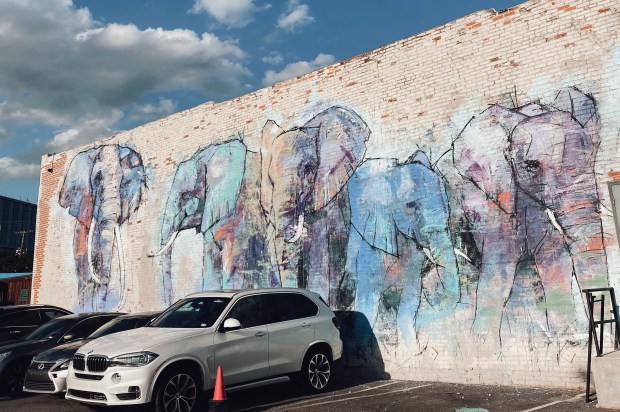 Processed with VSCO with a6 preset