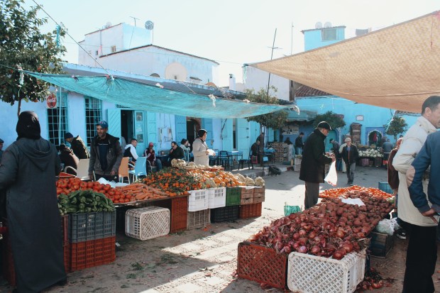 Processed with VSCO with a6 preset