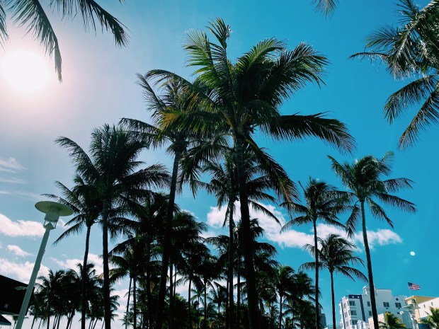 Processed with VSCO with c1 preset