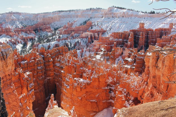 Processed with VSCO with hb1 preset