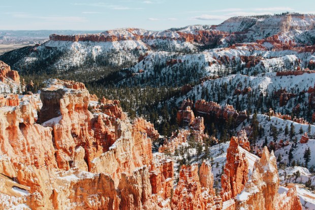 Processed with VSCO with a6 preset