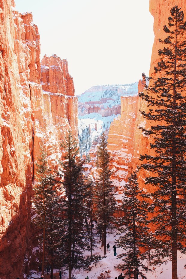 Processed with VSCO with hb1 preset